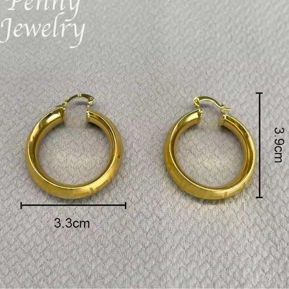 Elegant Gold Plated Hoop Earrings - Picture 5 of 5